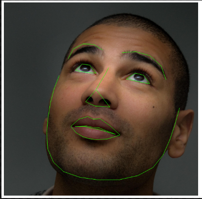 facial_pose